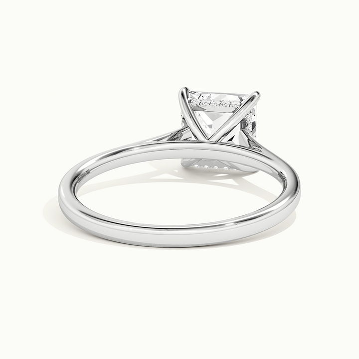 White gold princess-cut cathedral hidden halo engagement ring, rear view showing the setting gallery
